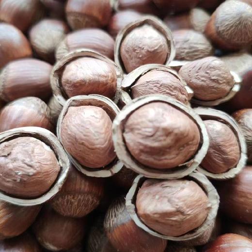 弓匠堡子熟榛子礼盒装甄选颗颗饱满大果 大榛子 特产榛子 东北特产 商品图3