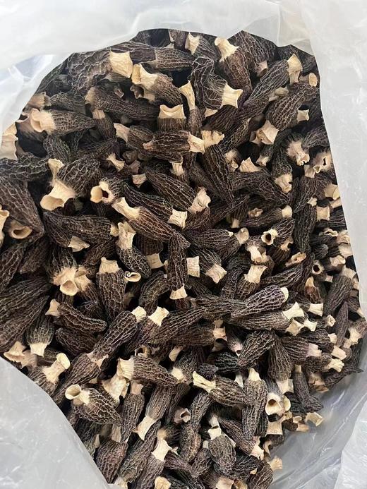 【黔南好物】贵州长顺精品羊肚菌50g/100g【厂家直发】 商品图2