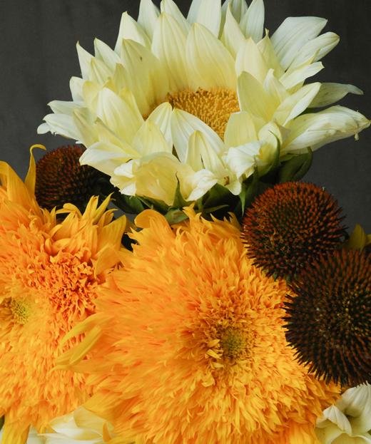 浮光暖橘 Floating Orange Tune 商品图2