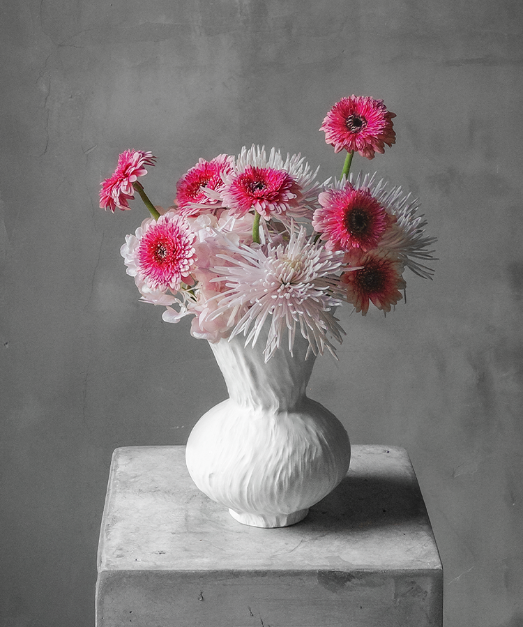 维也纳舞者 Vienna Dancer