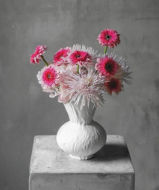 维也纳舞者 Vienna Dancer 商品图0