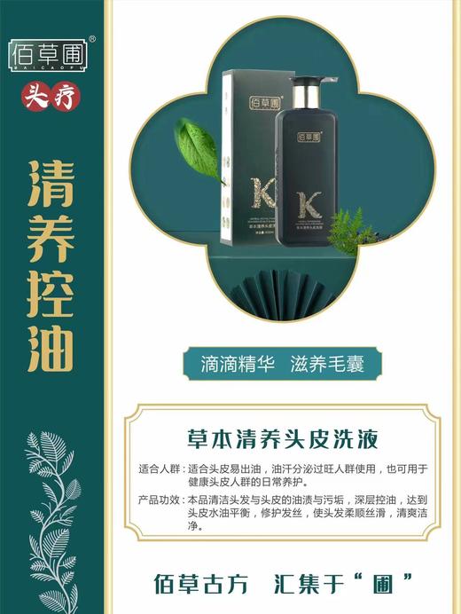 佰草圃草本清养头皮洗液 400ml 商品图1