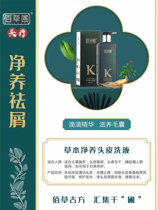 佰草圃草本净养头皮洗液 400ml 商品图1