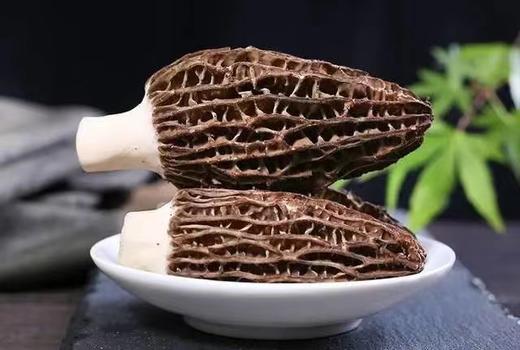 【黔南好物】贵州长顺精品羊肚菌50g/100g【厂家直发】 商品图7