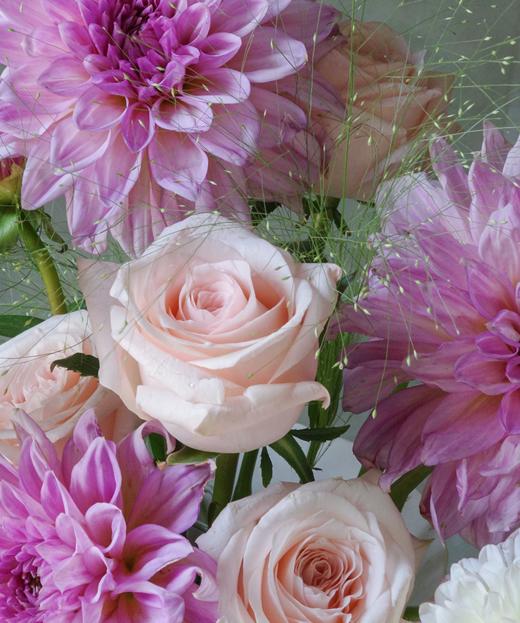 温柔信念 Gentle Faith 商品图1