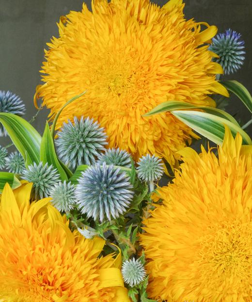 橙光熠熠 Shining Brightly 商品图2