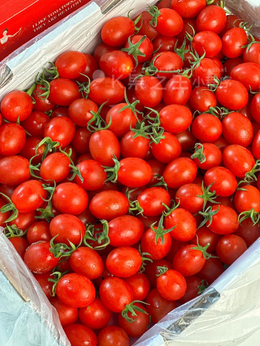 小番茄，国内绿色种植，浓郁爆浆，甜度高 商品图1