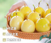 钦蜜9号黄金百香果 商品缩略图6