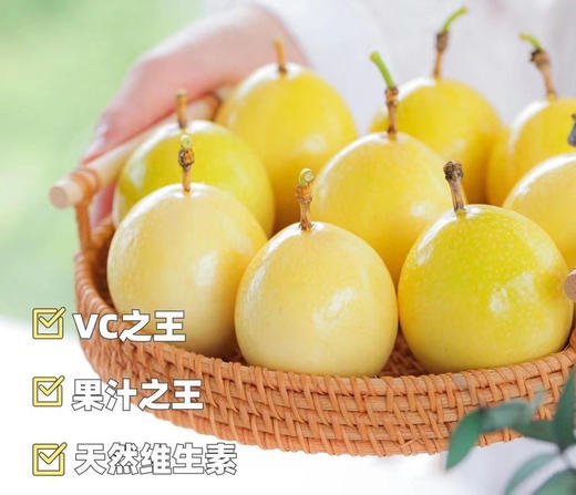 钦蜜9号黄金百香果 商品图6