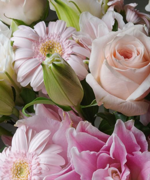 粉色传奇 Pink Legend 商品图1