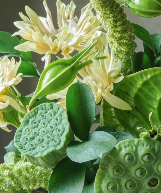 青绿暖光 Greenery and Sunshine 商品图2