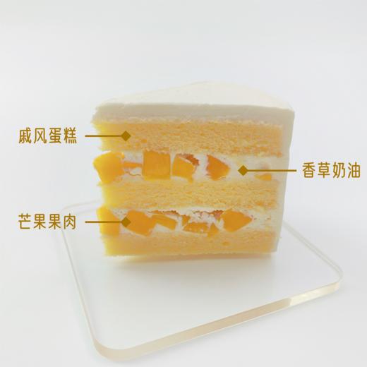 发财暴富蛋糕 商品图2