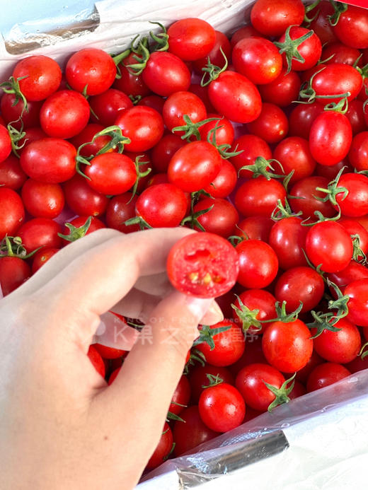 小番茄，国内绿色种植，浓郁爆浆，甜度高 商品图12