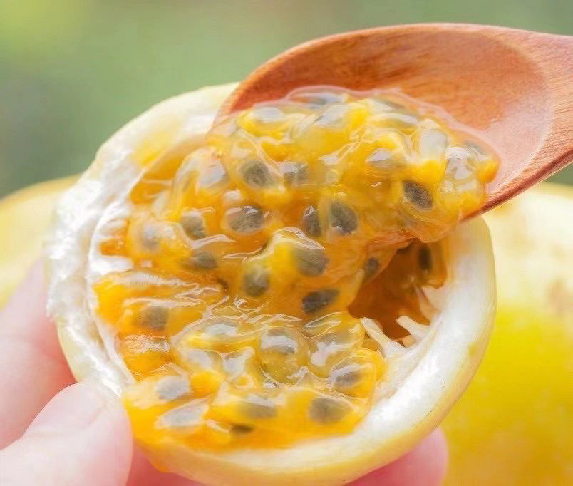 钦蜜9号黄金百香果