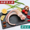 猪尾巴 商品缩略图0