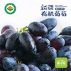 新疆黑美人葡萄4斤/件 新疆哈密产区 清甜无籽葡萄 新疆葡萄美食 商品缩略图7