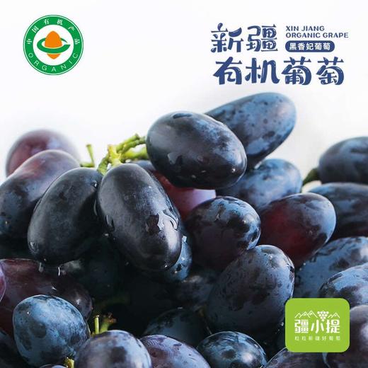 新疆黑美人葡萄4斤/件 新疆哈密产区 清甜无籽葡萄 新疆葡萄美食 商品图7