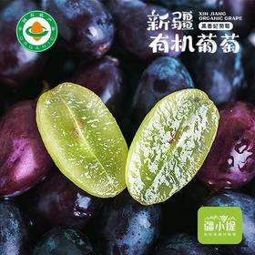 新疆黑美人葡萄4斤/件 新疆哈密产区 清甜无籽葡萄 新疆葡萄美食