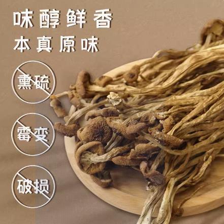 【福利购】开伞茶树菇150g 菌香四溢 商品图1
