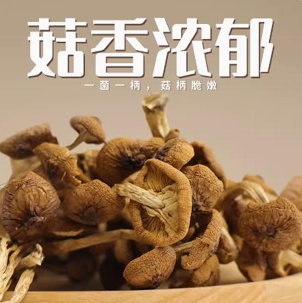 【福利购】开伞茶树菇150g 菌香四溢 商品图0