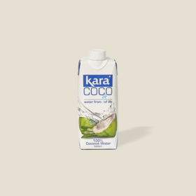Kara 椰子水500ml