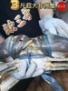 【斯里兰卡大青蟹】 商品缩略图2