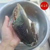 【斯里兰卡大青蟹】 商品缩略图5