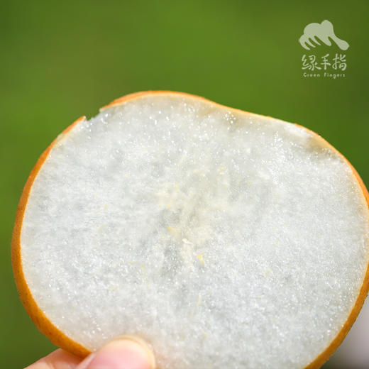 有机秋月梨 | 合作生产 *Organic autumn pearpear | Coproduction 商品图4