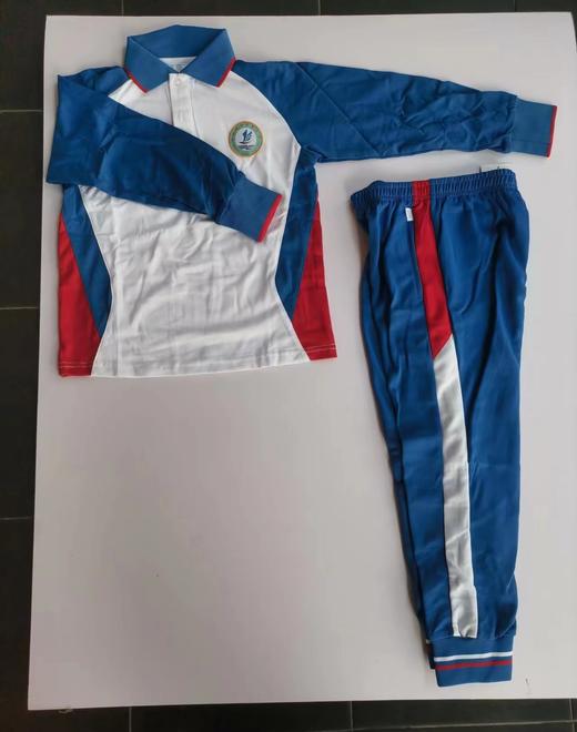 肇庆市肇庆中学附属小学校服 商品图1