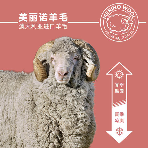 219元2双赛乐ZEALWOOD美丽诺羊毛马拉松毛巾底跑步户外越野印花袜 商品图1