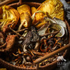 野生七彩菌汤包 | 合作生产*Wild Colorful Mushroom Pack | Coproduction 商品缩略图0