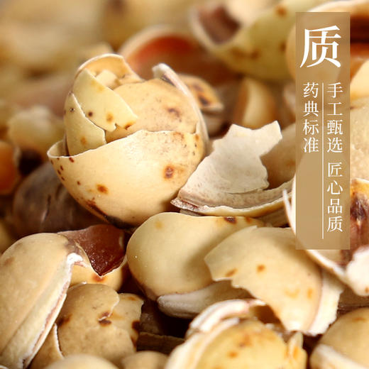 炒白扁豆 药食同源康美中药饮片 独立小包装 商品图3