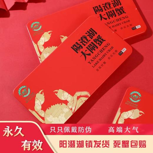 蟹卡终身有效【阳澄湖大闸蟹礼券礼品卡】中秋送礼佳品 阳澄湖基地直发 足斤量 爆品爆款礼盒套装 商品图0