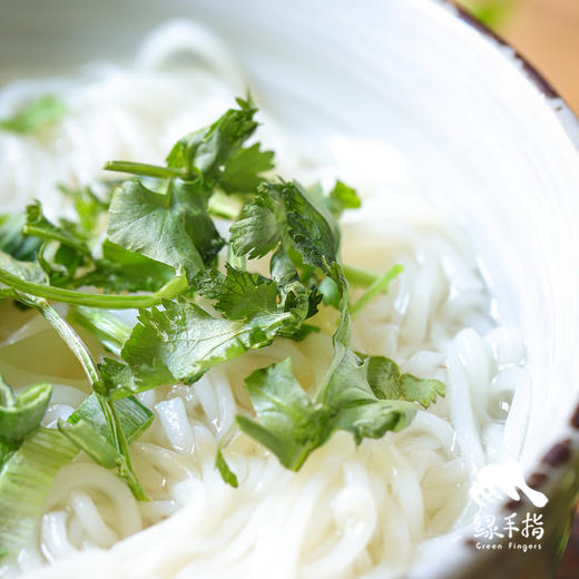 生态冻干香菜干 | 绿家自产*ecolaogical dry-cilantro | Self-production 商品图1