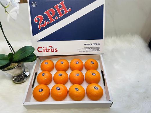 【BF】澳大利亚2PH澳桔 500g 商品图0