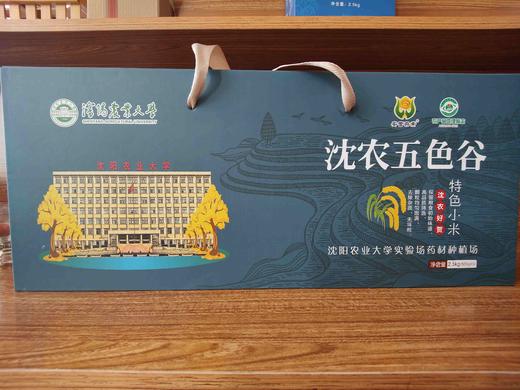沈农五色谷(每种各500g)特色小米 商品图0