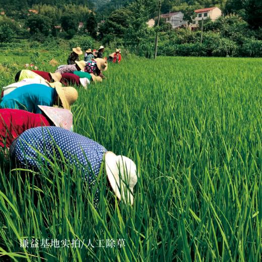 醪糟（甜米酒） 商品图5