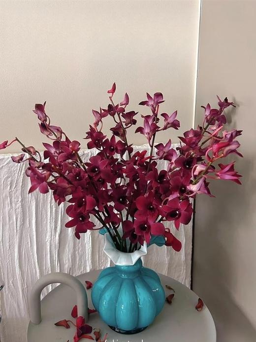 泰国洋兰千代兰紫罗兰各色可选10支 商品图3