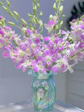 泰国洋兰千代兰紫罗兰各色可选10支