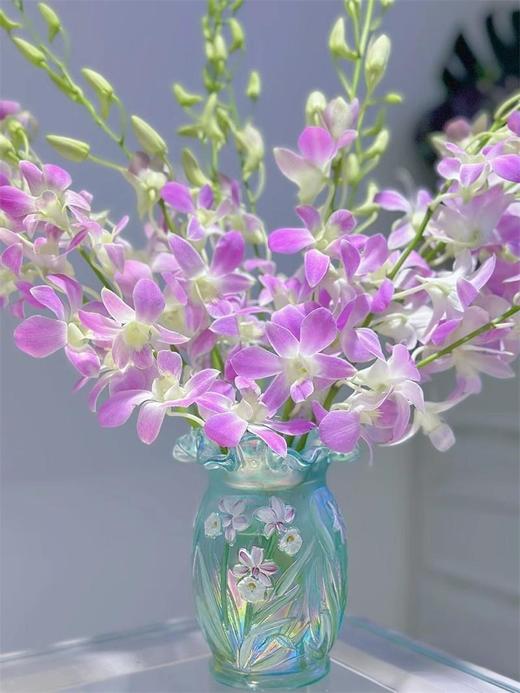 泰国洋兰千代兰紫罗兰各色可选10支 商品图0