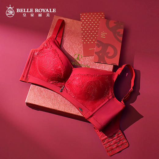 皇家丽美文胸调整型无钢圈中杯美背四排扣内衣精美刺绣羽毛WW918-2 商品图1