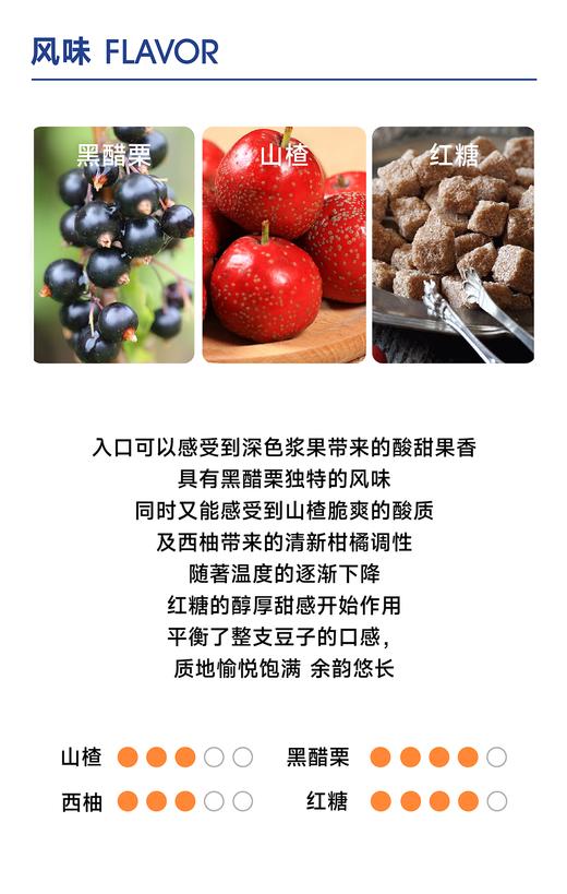 松格里AA｜愉悦酸质 顺滑圆润 商品图1