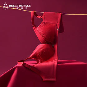 皇家丽美文胸调整型无钢圈中杯美背四排扣内衣精美刺绣羽毛WW918-2