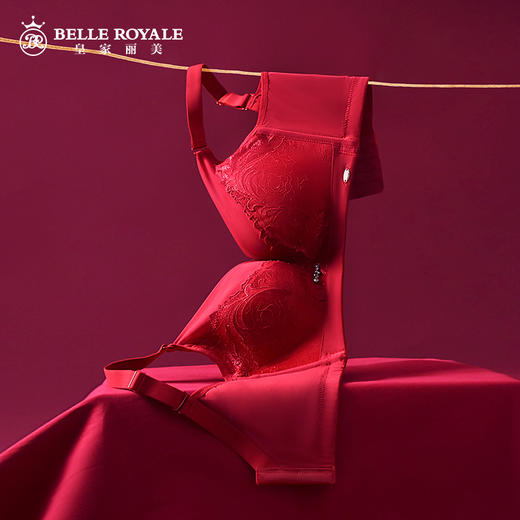 皇家丽美文胸调整型无钢圈中杯美背四排扣内衣精美刺绣羽毛WW918-2 商品图0