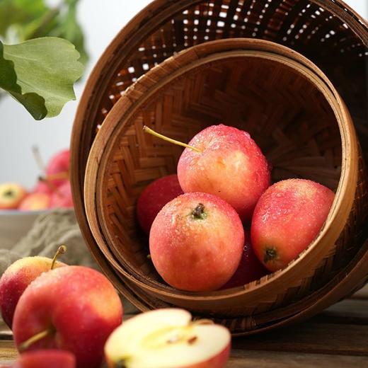 新鲜水果 脆甜可口海棠果 500g 商品图2