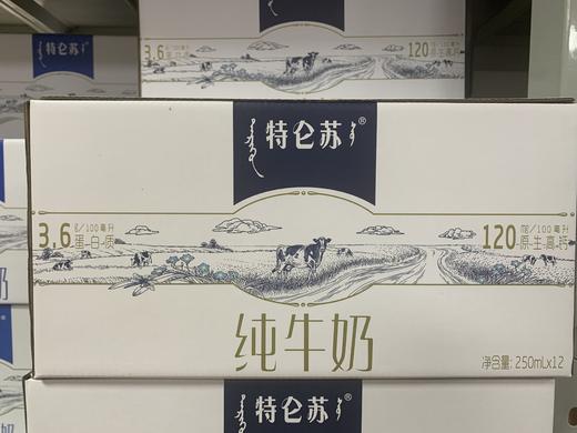 特仑苏纯牛奶 商品图0