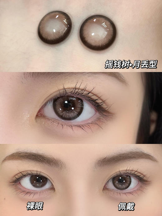 Anna kelly ak月抛 BE RICH 摇钱树/招财猫（棕 14.2-14.5 棕 最高1000度） 商品图1