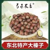 弓匠堡子熟榛子礼盒装甄选颗颗饱满大果 大榛子 特产榛子 东北特产 商品缩略图1
