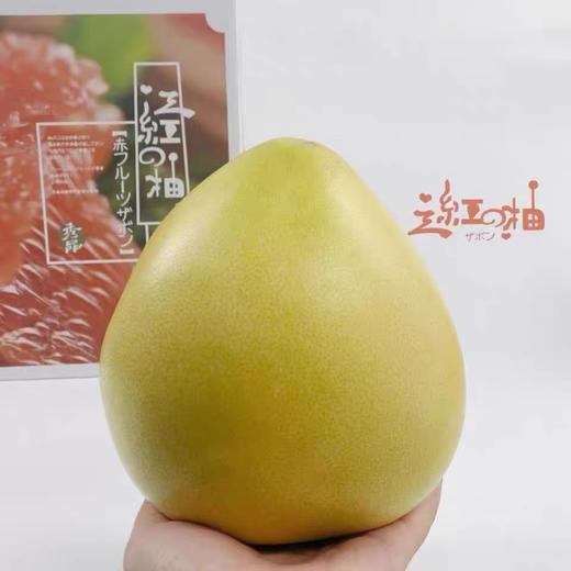 匠心级红柚（单果950g起） 商品图3