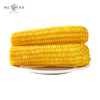 【秒杀】粹品沁采东北鲜食黄糯玉米礼盒2.2kg 商品缩略图4